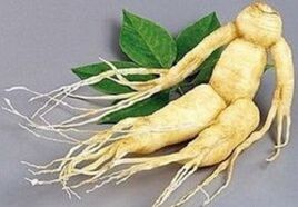 Ginseng root to infuse