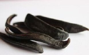 Leeches dried to make an ointment